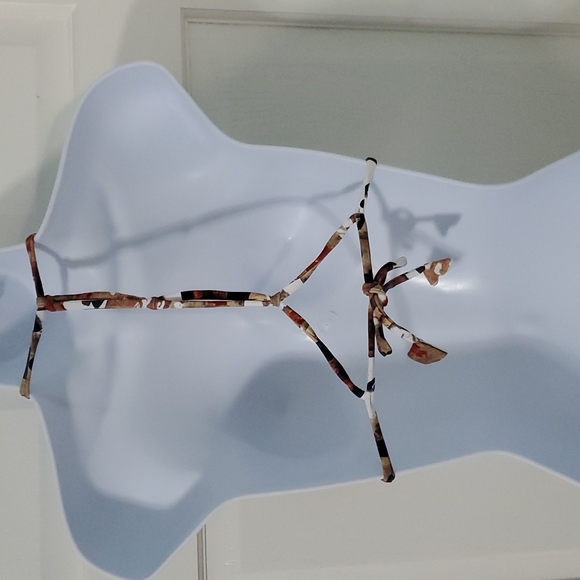 Martha Rey Story Bikini Top - Small - Picture 2 of 3